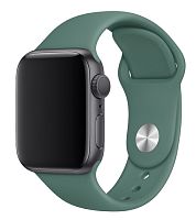 Ремінець xCase для Apple Watch 42/44/45/49 mm Sport Band Pine green (M)