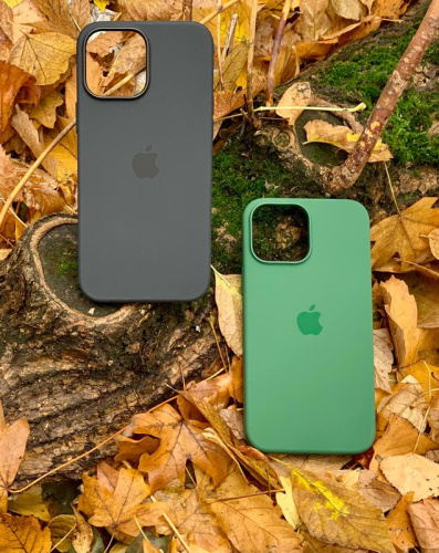 Чохол OEM Silicone Case Full for iPhone 13 Pro Clover: фото 3 - UkrApple