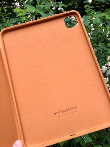 Чохол Smart Case для iPad Pro 11" (2020/2021/2022) Brown Mustard: фото 5 - UkrApple
