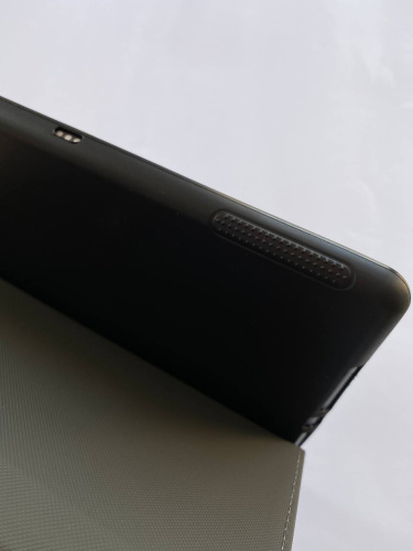Чохол Slim Case для iPad 10 10.9" (2022) Панда Кунг-Фу: фото 11 - UkrApple