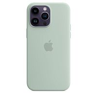 Чохол iPhone 14 Plus Silicone Case with MagSafe succulent 