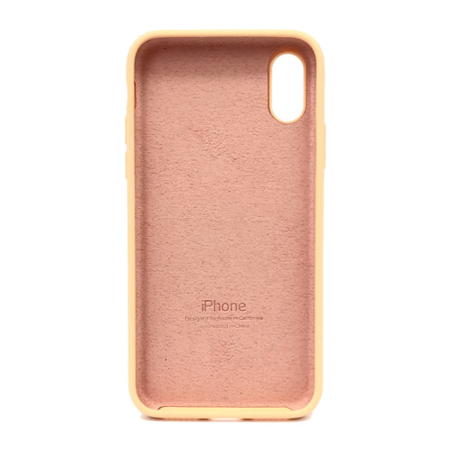 Чехол iPhone X/XS Silicone Case Full cantaloupe: фото 2 - UkrApple