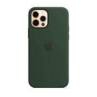 Чохол OEM Silicone Case Full for iPhone 12 Pro Max Cyprus green