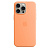 Чохол iPhone 15 Pro Silicone Case with MagSafe orange sorbet  - UkrApple