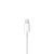 Наушники Apple iPod EarPods with Mic Lightning (MMTN2ZM/A): фото 4 - UkrApple